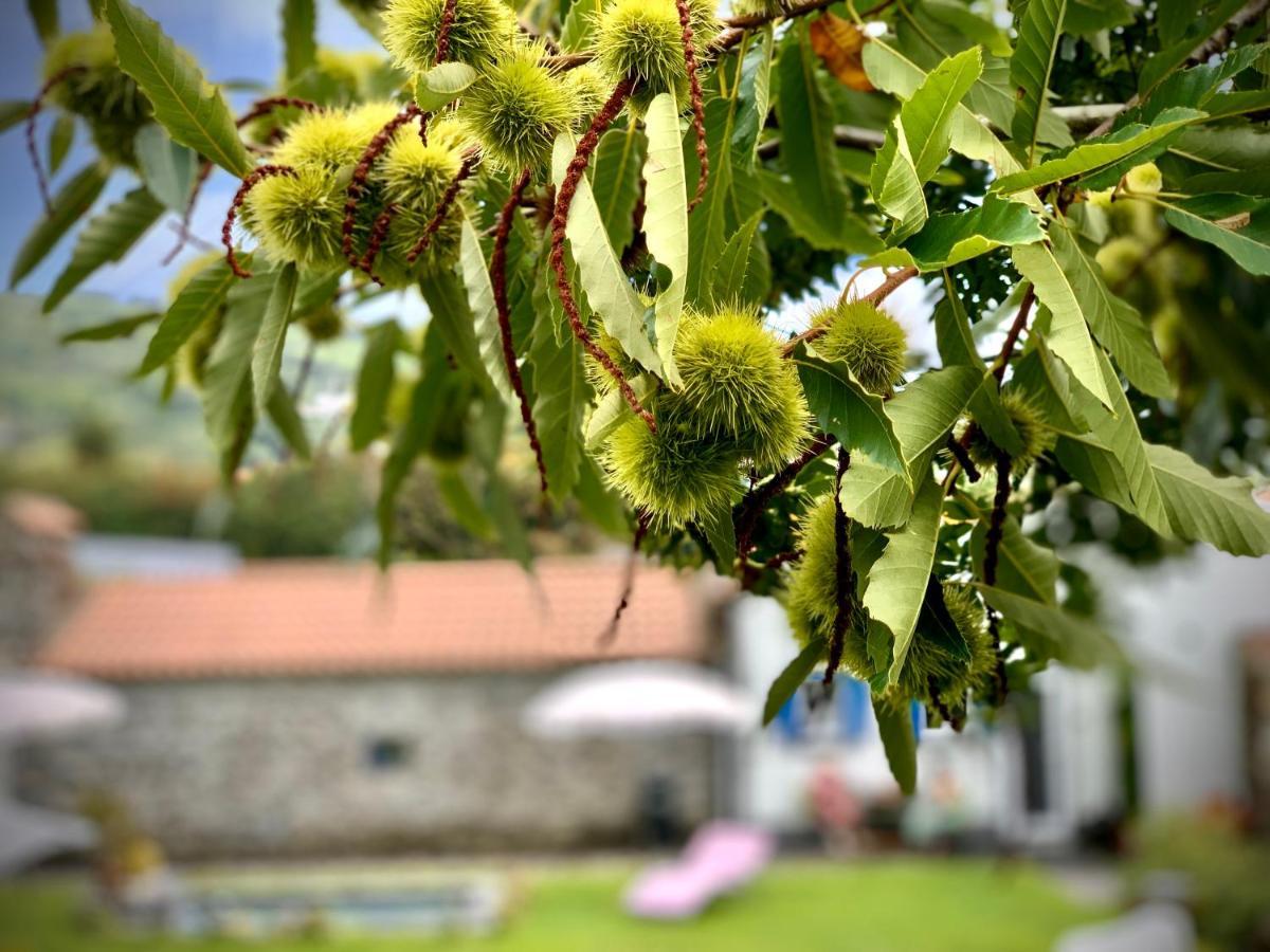 Casa Do Milhafre - Villaverde Azores Feteiras Kültér fotó